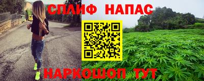 сатива Бердск