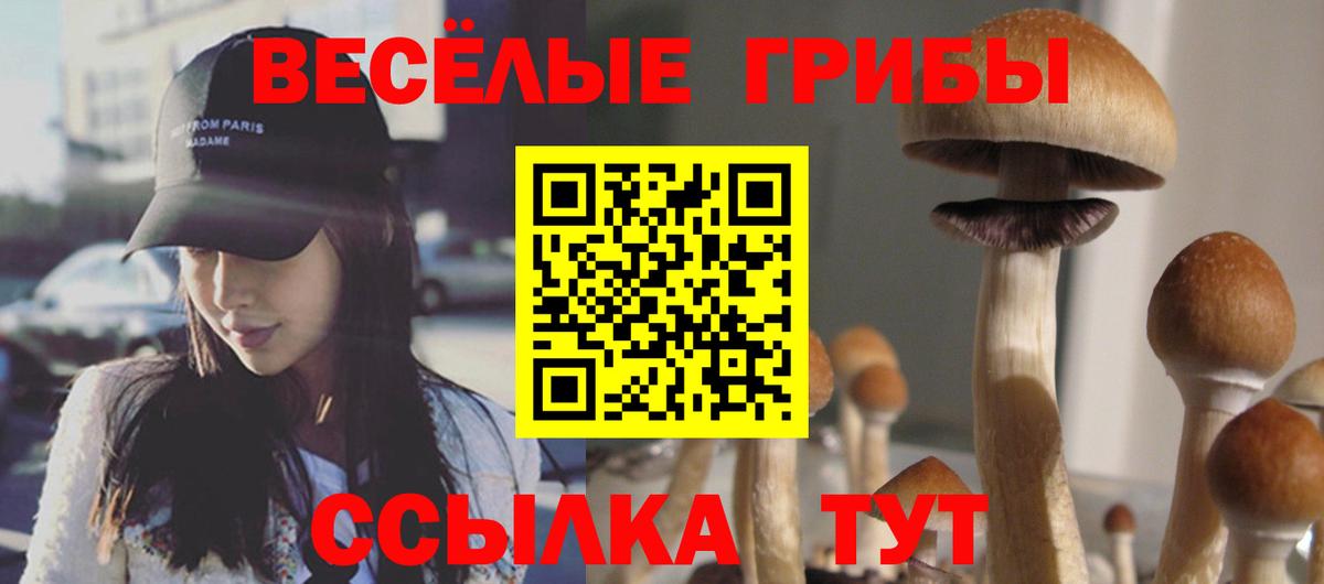 Псилоцибиновые грибы MAGIC MUSHROOMS Будённовск