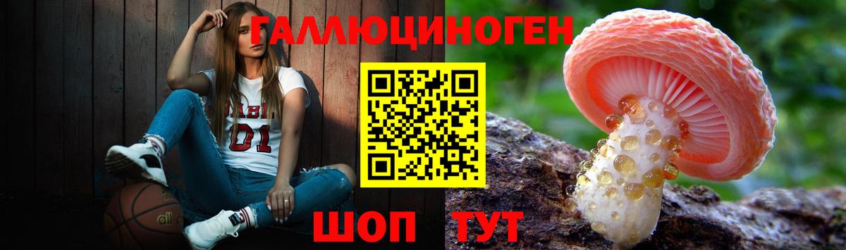 Галлюциногенные грибы Psilocybe  Псилоцибиновые грибы мухоморы  Вход с VPN  цены   Будённовск 